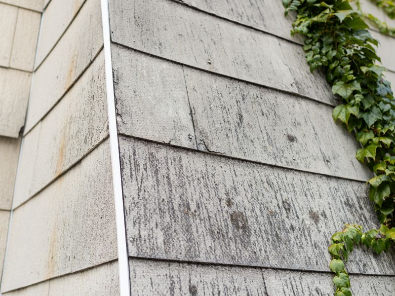 Asbestos Abatement in Somerset County, NJ