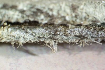 Asbestos Remediation in Sussex County, NJ