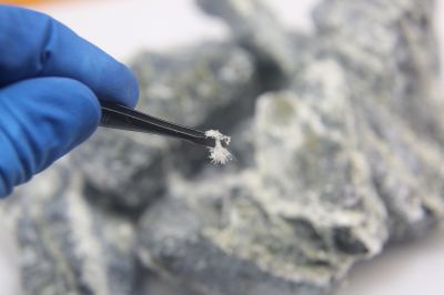 Asbestos Service in Monmouth County, NJ