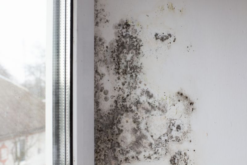 Attic Mold Removal in Essex County, NJ