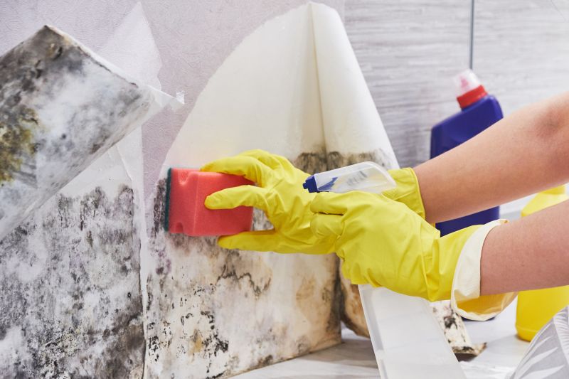 Attic Mold Removal in Fort Worth, TX