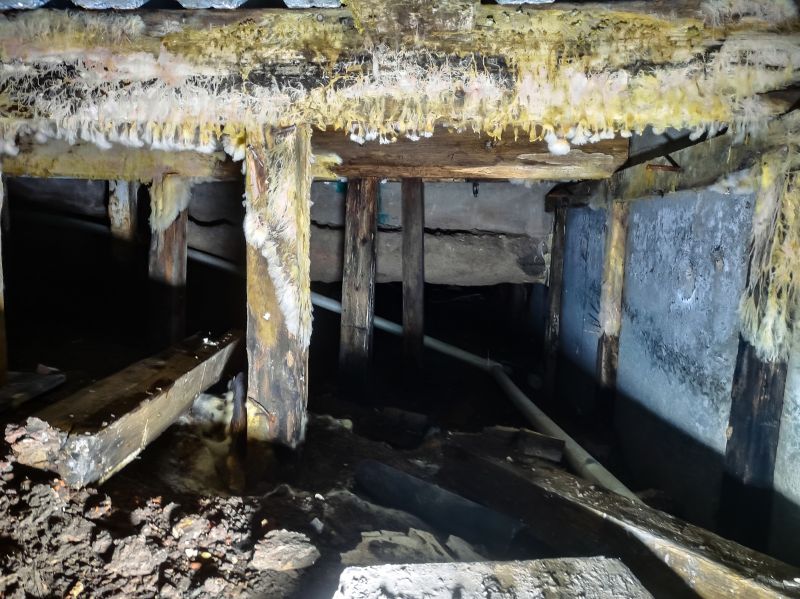 Basement Mold Remediation in Fort Worth, TX