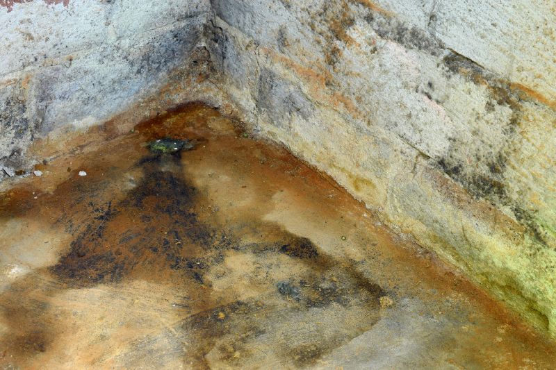 Basement Mold Removal in Frisco, TX