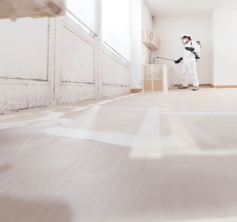 Basement Mold Removal in Boca Raton, FL
