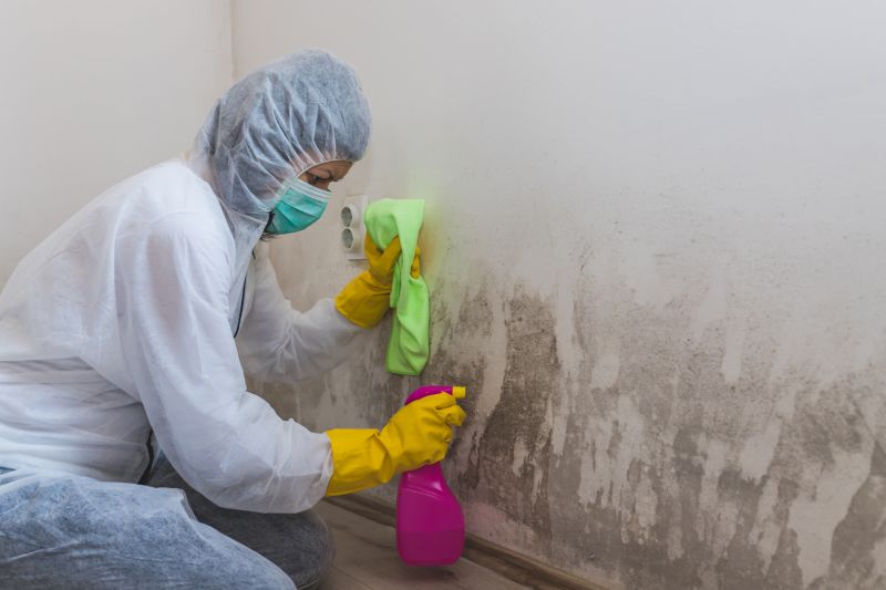 Black Mold Remediation in Fort Worth, TX