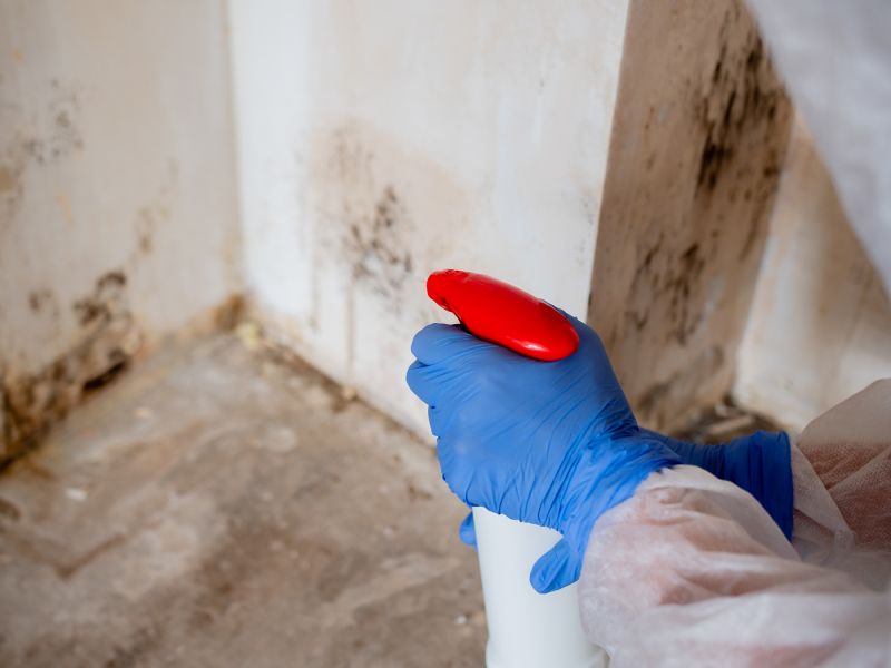 Black Mold Remediation in Boca Raton, FL