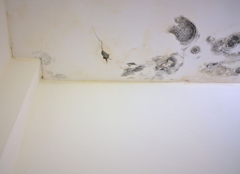 Ceiling Mold Removal in Fort Lauderdale, FL