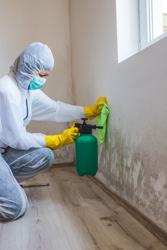 Crawlspace Mold Remediation in Broward County, FL