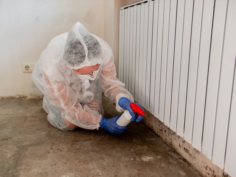 Garage Mold Remediation in Frisco, TX