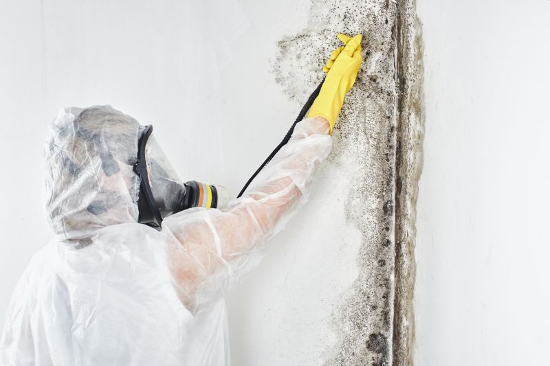 Mold Abatement in Weatherford, TX