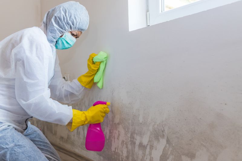 Mold Cleanup Service in Boca Raton, FL