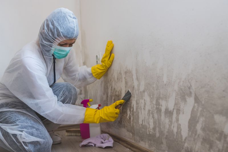 Mold Cleanup Service in Broward County, FL