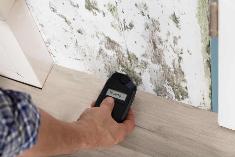 Mold Detection in Fort Lauderdale, FL
