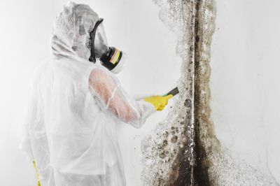 Mold Inspection And Removal in Broward County, FL