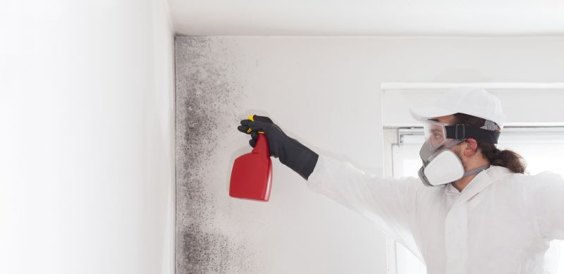 Mold Mitigation Service in Frisco, TX