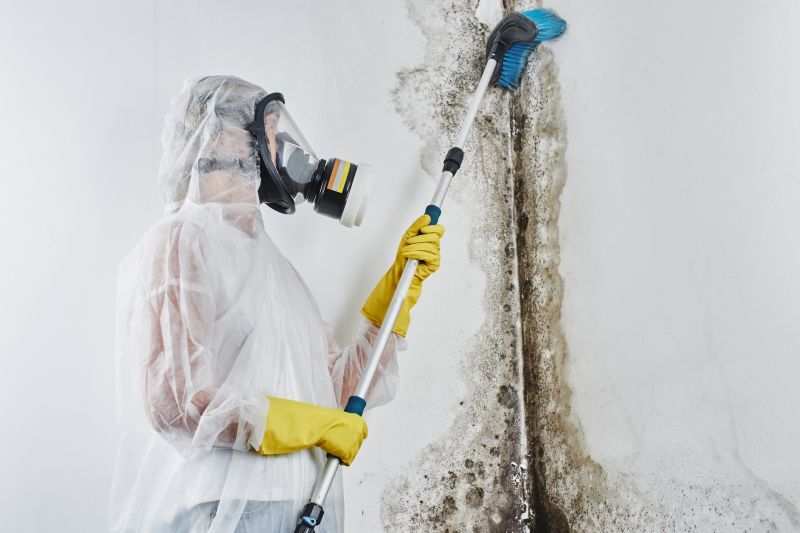 Mold Mitigation Service in Essex County, NJ