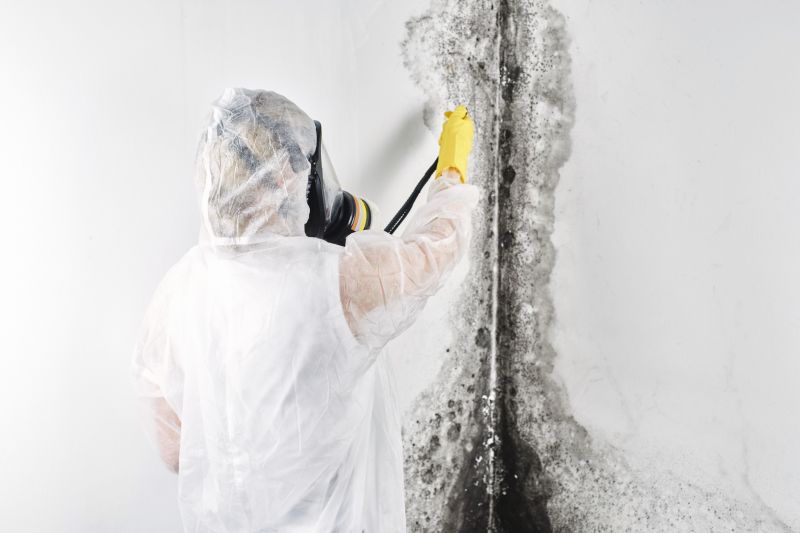 Mold Mitigation Service in Broward County, FL