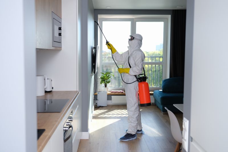 Mold Remediation Service in Jupiter, FL