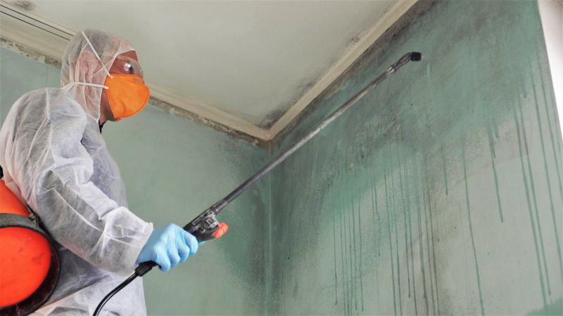 Mold Removal in Broward County, FL