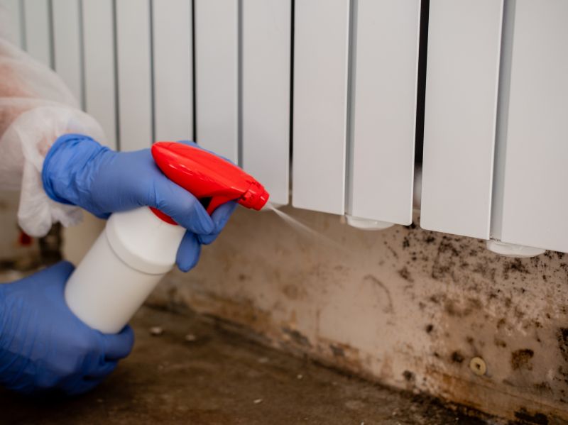 White Mold Mitigation in Essex County, NJ