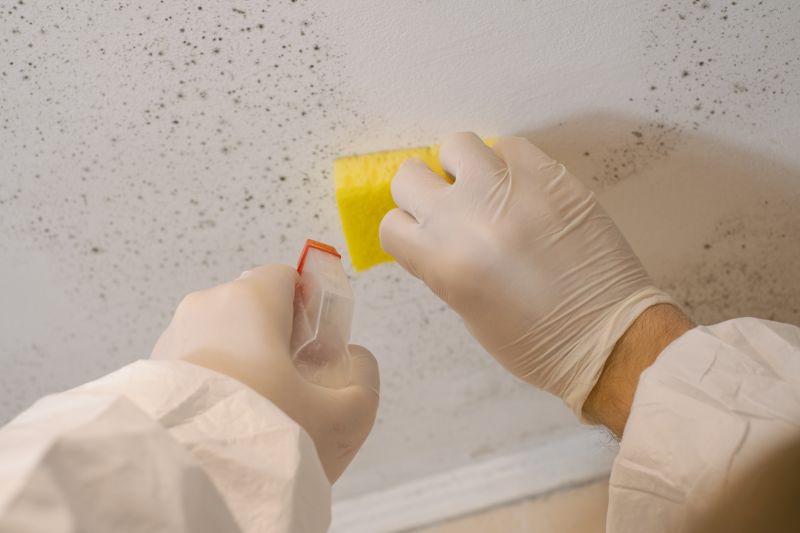 White Mold Mitigation in Bergen County, NJ