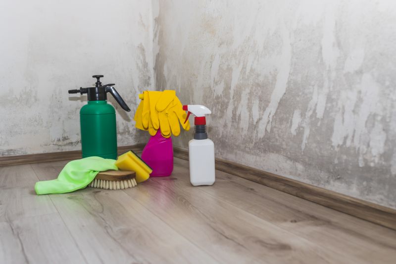 Attic Mold Remediation in Frisco, TX