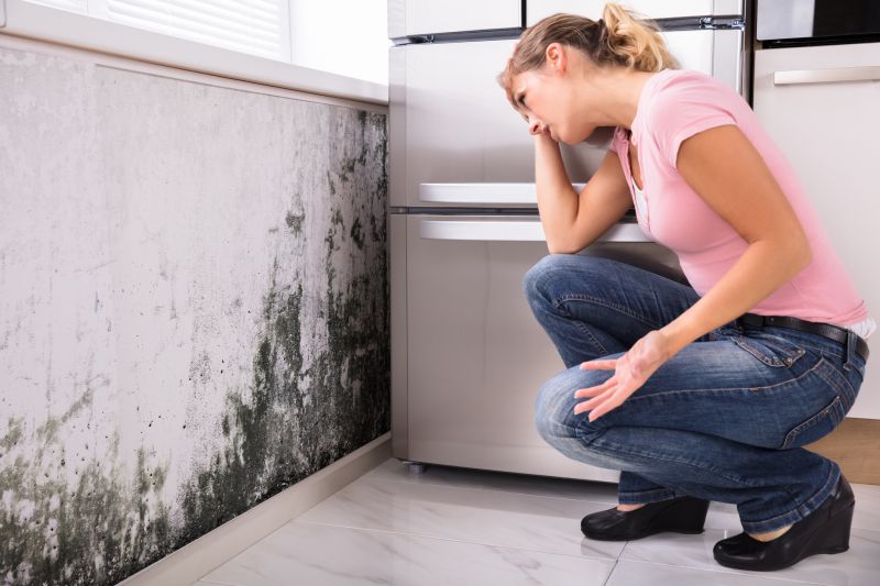 Black Mold Removal in Delray Beach, FL