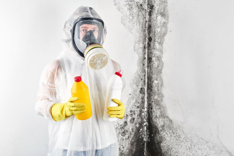 Mold Cleanup Service in Fort Lauderdale, FL